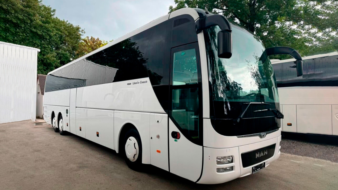 Man Lion's аренда