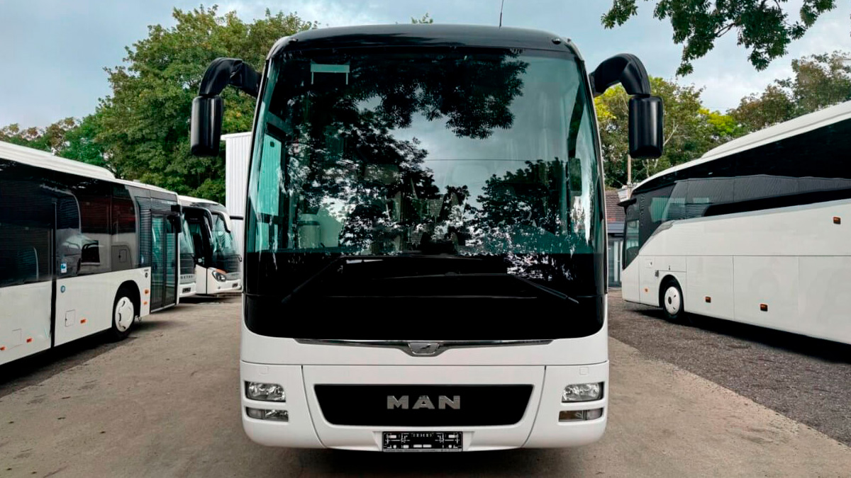 Man Lion's аренда