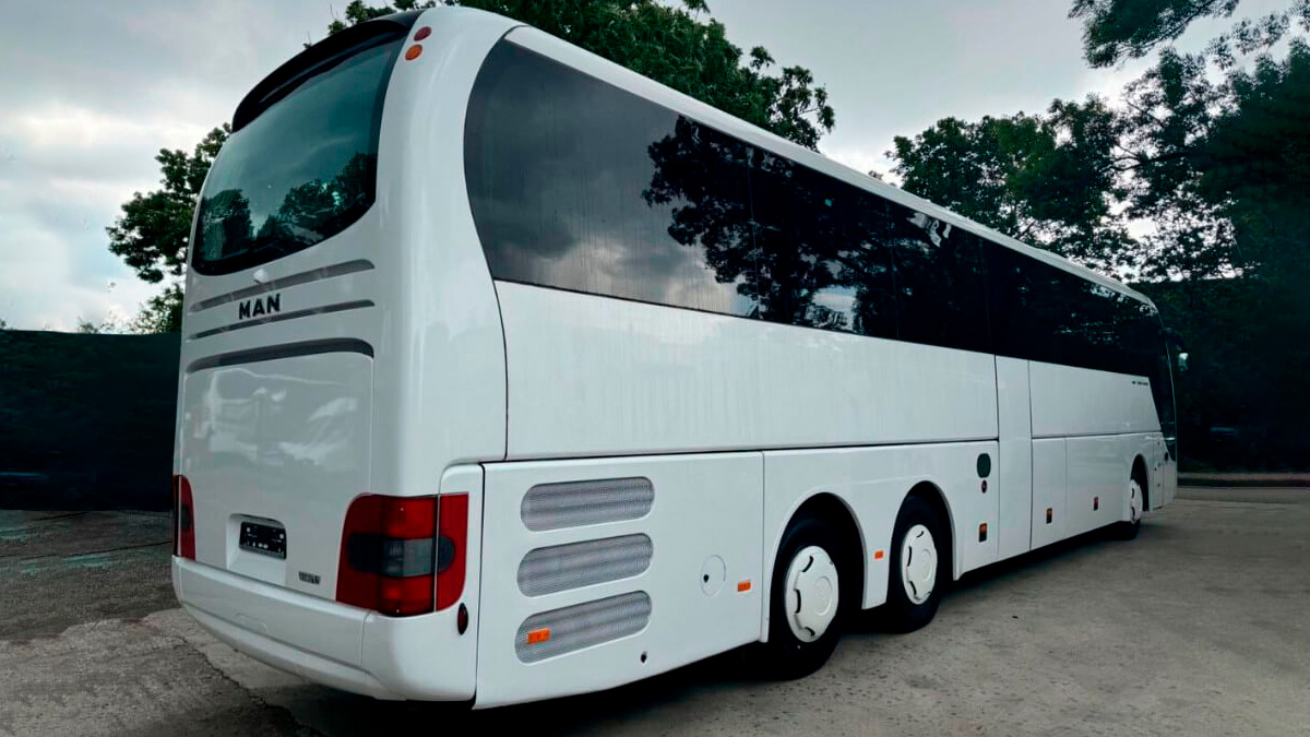 Man Lion's аренда