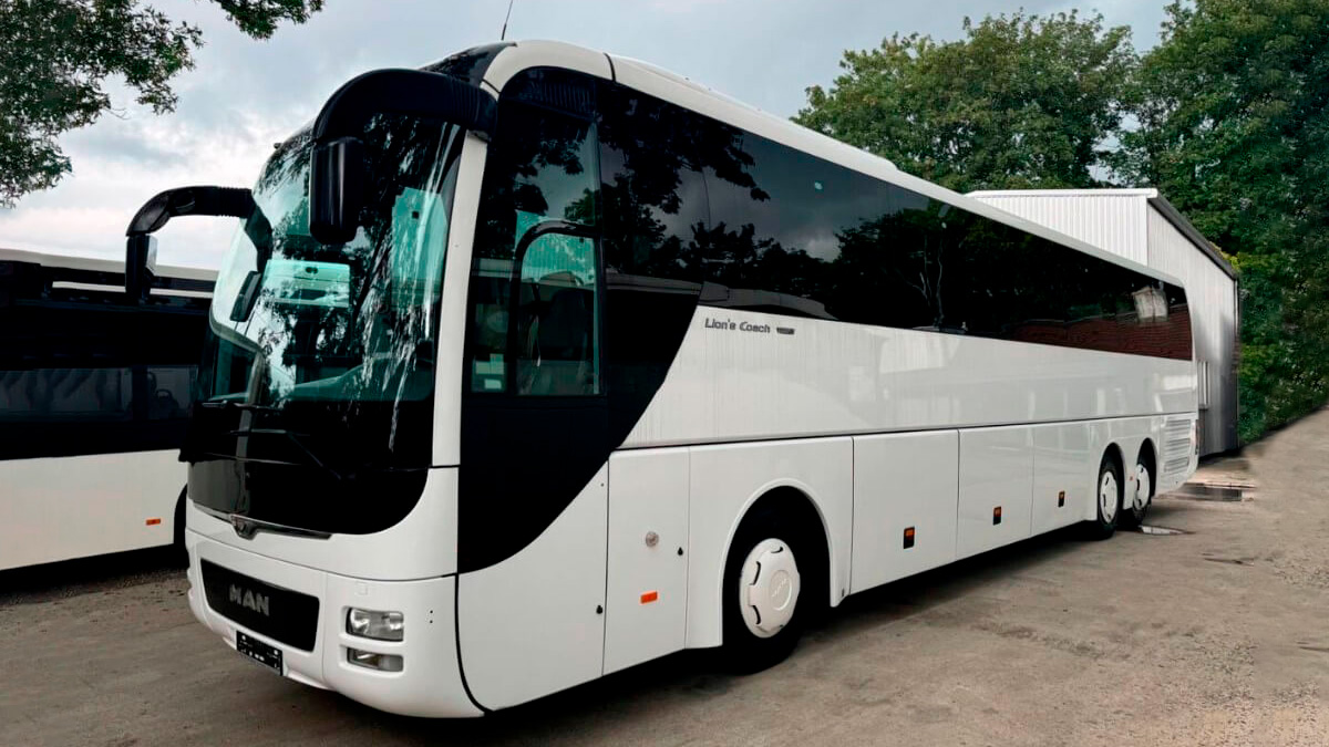 Man Lion's аренда